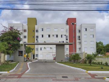 Pelotas - Fragata - Apartamento - Padrão - Locaçao
